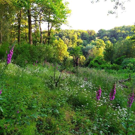 La Cabane Des Beaux Chenes Evrunes Екстер'єр фото
